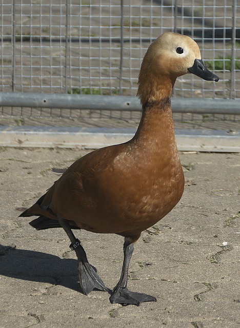 他们用实际