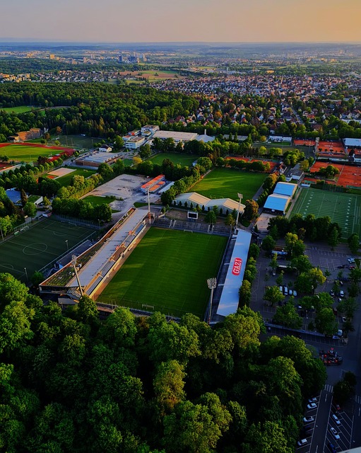 今夏就想重 今夏就想重