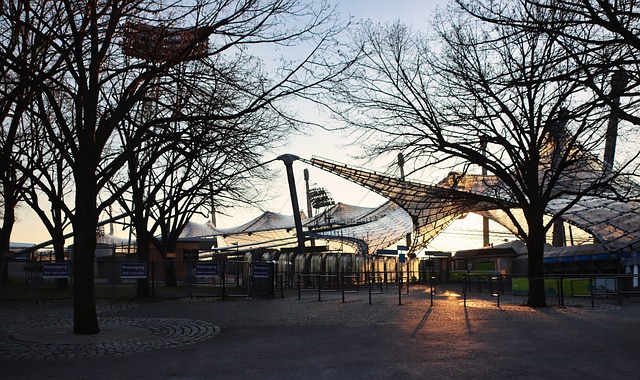 柬埔寨和越 柬埔寨和越