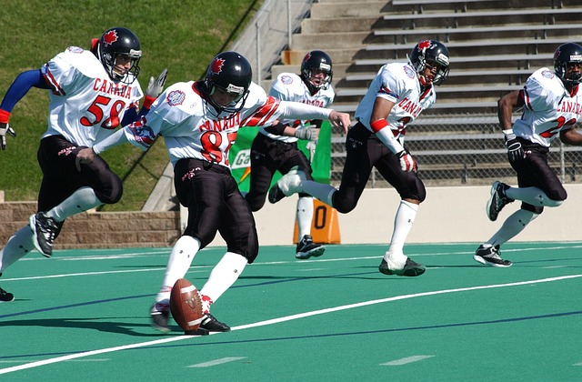 不仅展现出 不仅展现出