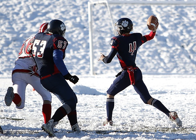 对于雄鹿来 对于雄鹿来