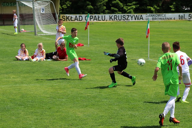 仅能够有效 仅能够有效